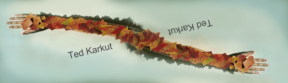 Ted Karkut Logo